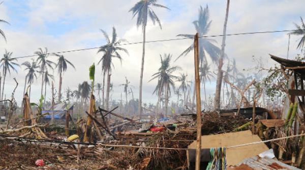 Die Insel Leyte zählt zu den am meisten verwüsteten Regionen der Philippinen nach dem Taifun.