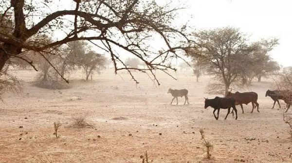 Niger 2012