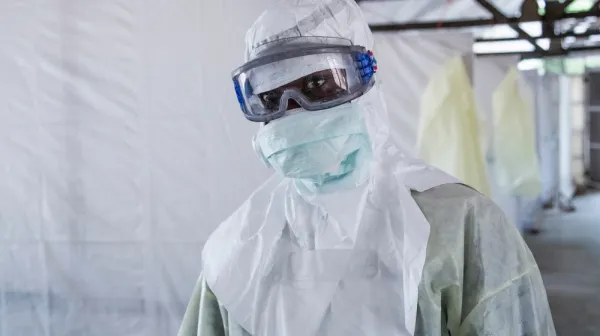 Lassa fever project