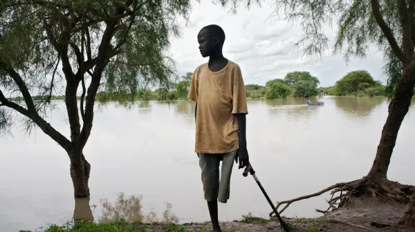 Schlangenbisse: Ärzte ohne Grenzen warnt vor Anstieg der Todesfälle