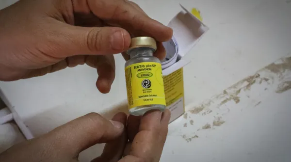 The EchiTAb plus-ICP antivenom