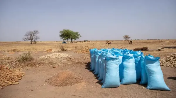 Teufelskreis Klimakrise - Dürre, Ernteausfall, Mangelernährung