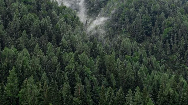 Foto: Erbschaft und Pflichtteil in Österreich