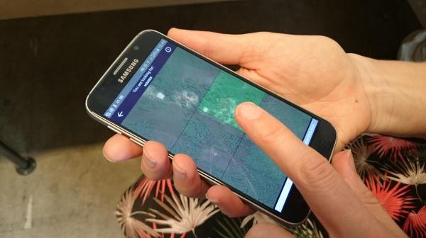 Jorieke Vyncke entwickelt Handysoftware für kartierung Abgelegener Regionen