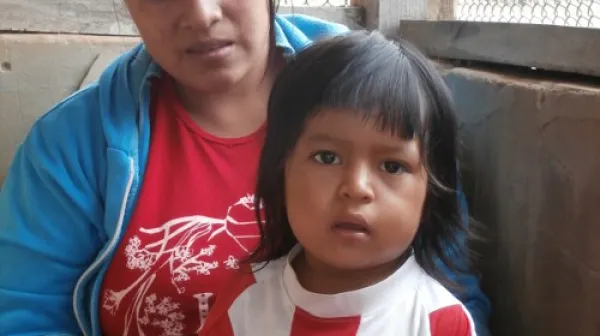 Kampf gegen Chagas: Erste Erfolge